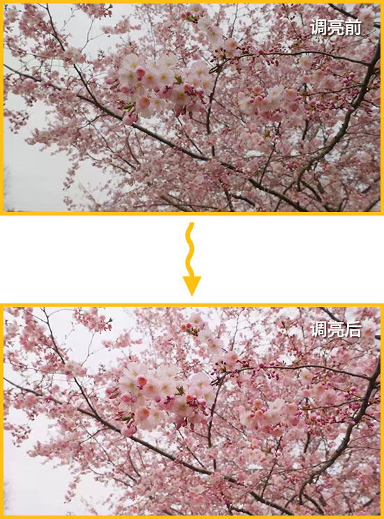 阴天拍的视频太暗了怎么办？别删！一键变得又亮又有质感
